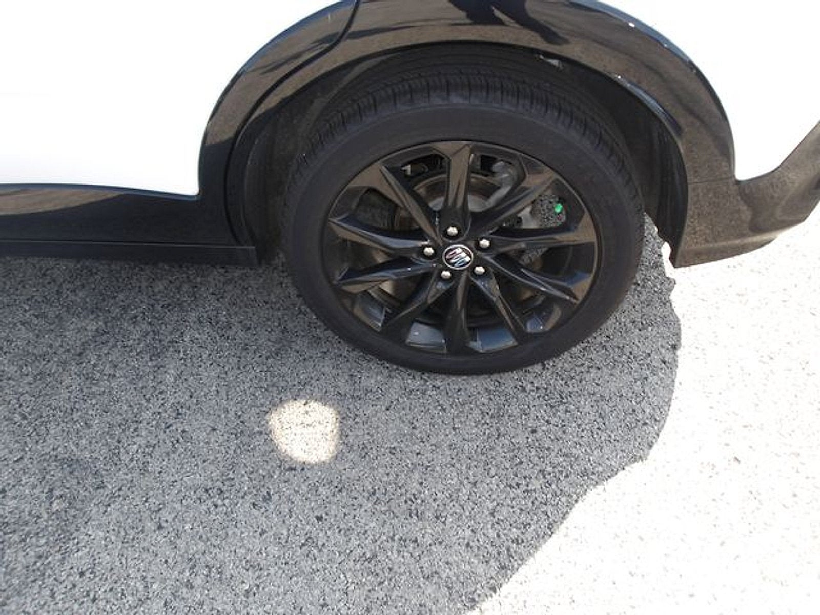 Photo 23