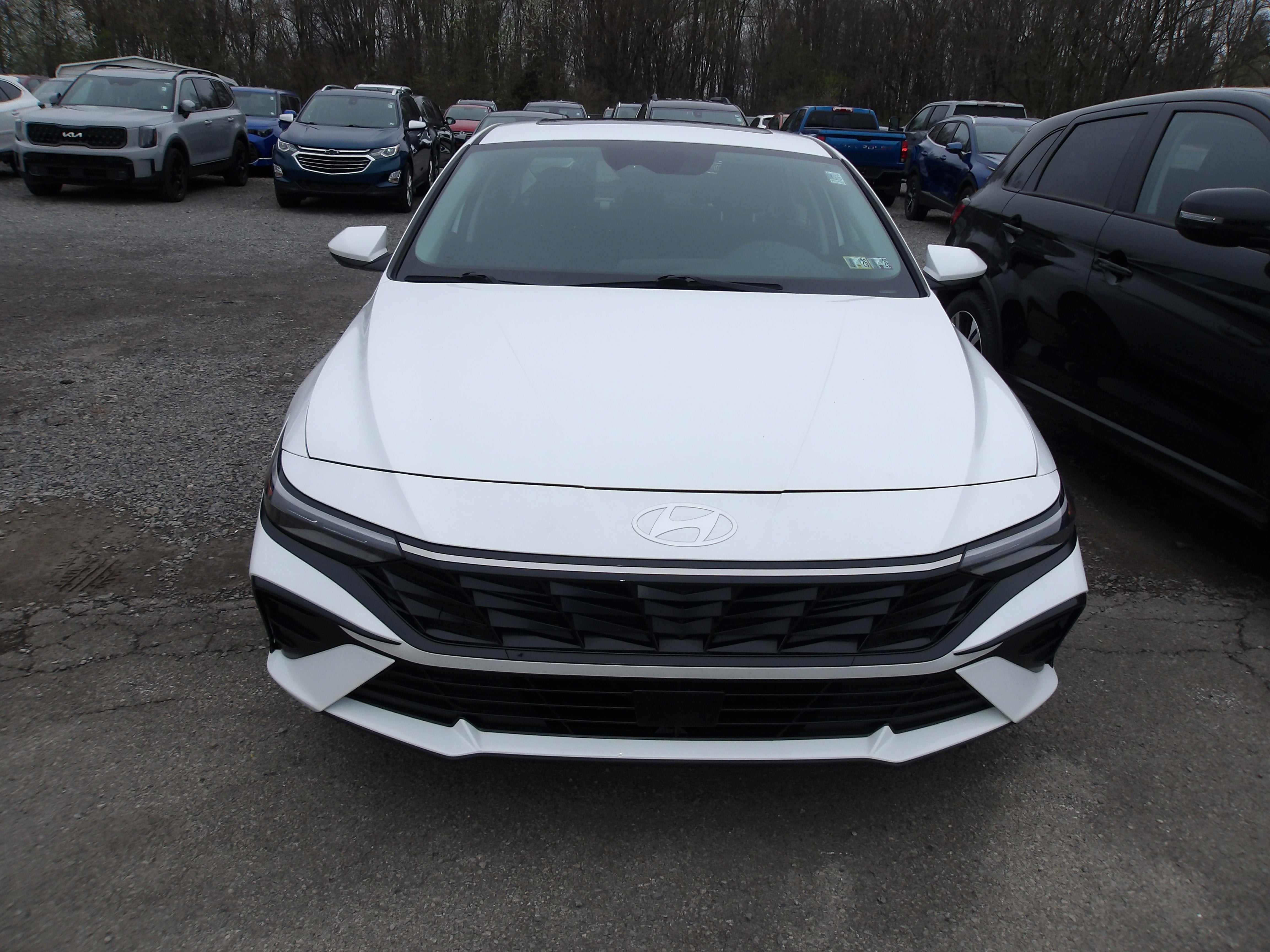 2023 Hyundai Elantra Hybrid Blue