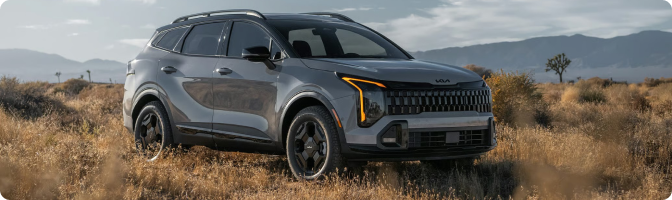 What each Mike Kelly Kia area page covers