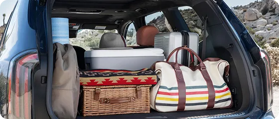 Smart Power Liftgate with Auto Close on the 2025 Kia Telluride