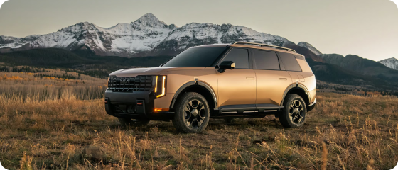 Performance and Powertrain